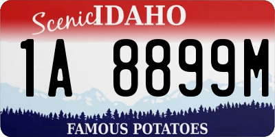 ID license plate 1A8899M