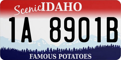 ID license plate 1A8901B