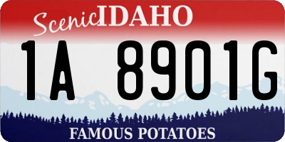 ID license plate 1A8901G