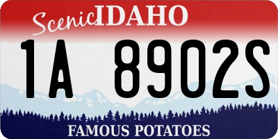 ID license plate 1A8902S