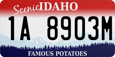 ID license plate 1A8903M