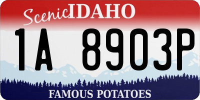 ID license plate 1A8903P