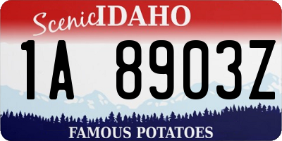 ID license plate 1A8903Z
