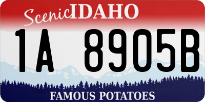 ID license plate 1A8905B