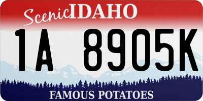 ID license plate 1A8905K