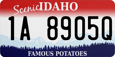 ID license plate 1A8905Q