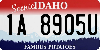 ID license plate 1A8905U