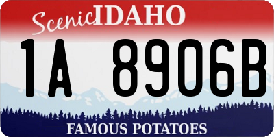 ID license plate 1A8906B