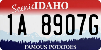ID license plate 1A8907G