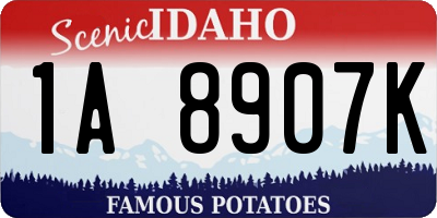 ID license plate 1A8907K