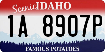ID license plate 1A8907P