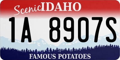 ID license plate 1A8907S
