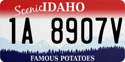 ID license plate 1A8907V