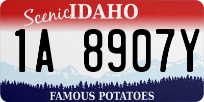 ID license plate 1A8907Y