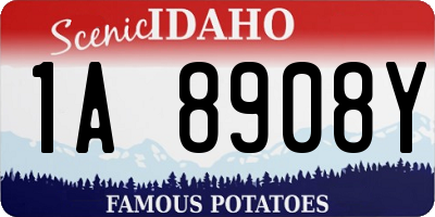 ID license plate 1A8908Y