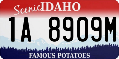 ID license plate 1A8909M