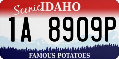 ID license plate 1A8909P