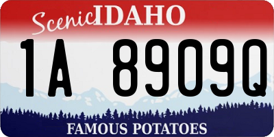 ID license plate 1A8909Q