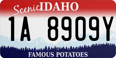 ID license plate 1A8909Y
