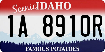 ID license plate 1A8910R