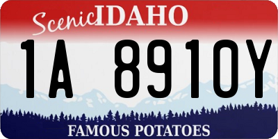 ID license plate 1A8910Y