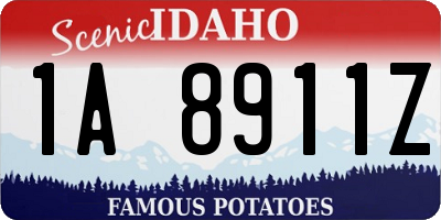 ID license plate 1A8911Z