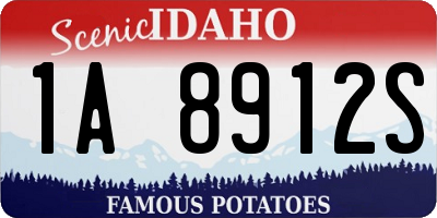 ID license plate 1A8912S