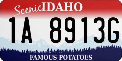 ID license plate 1A8913G