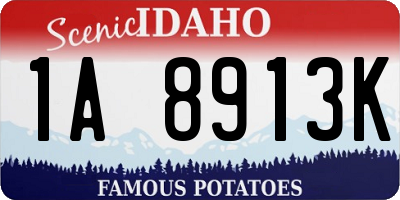 ID license plate 1A8913K