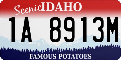 ID license plate 1A8913M