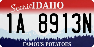 ID license plate 1A8913N