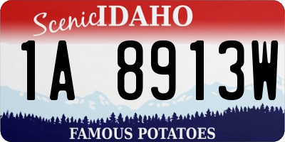 ID license plate 1A8913W