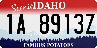 ID license plate 1A8913Z