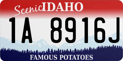 ID license plate 1A8916J