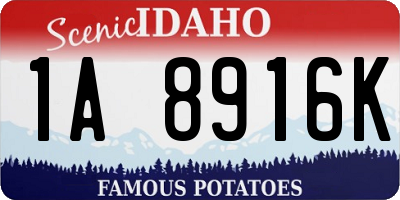 ID license plate 1A8916K