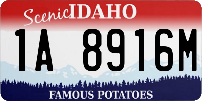 ID license plate 1A8916M