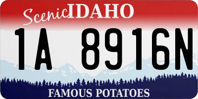 ID license plate 1A8916N