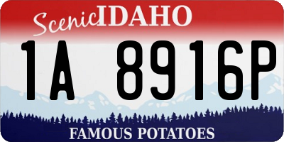 ID license plate 1A8916P