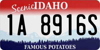 ID license plate 1A8916S