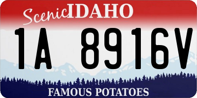 ID license plate 1A8916V