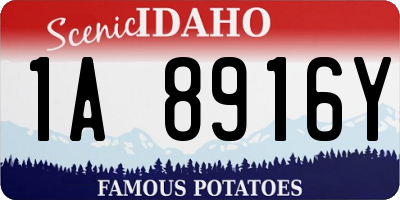 ID license plate 1A8916Y