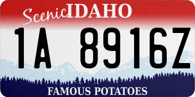 ID license plate 1A8916Z