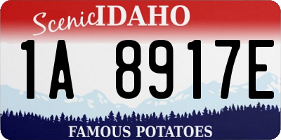 ID license plate 1A8917E