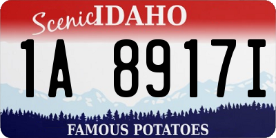 ID license plate 1A8917I