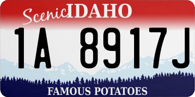 ID license plate 1A8917J