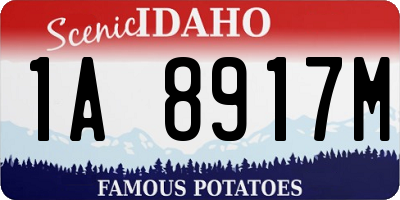 ID license plate 1A8917M