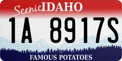 ID license plate 1A8917S