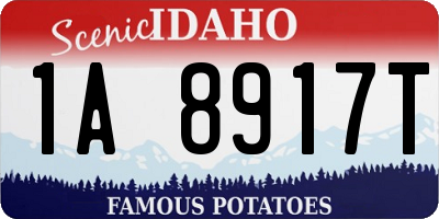 ID license plate 1A8917T