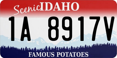 ID license plate 1A8917V