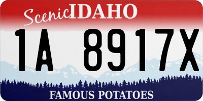 ID license plate 1A8917X